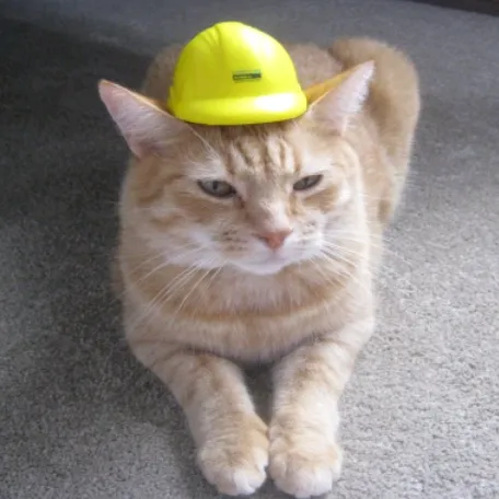 safety.cat0