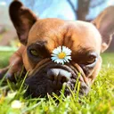 @ernchen_erna