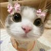 eunice.lori