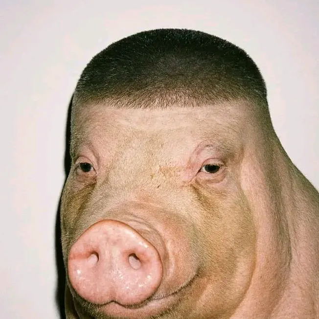 @felix_kinex