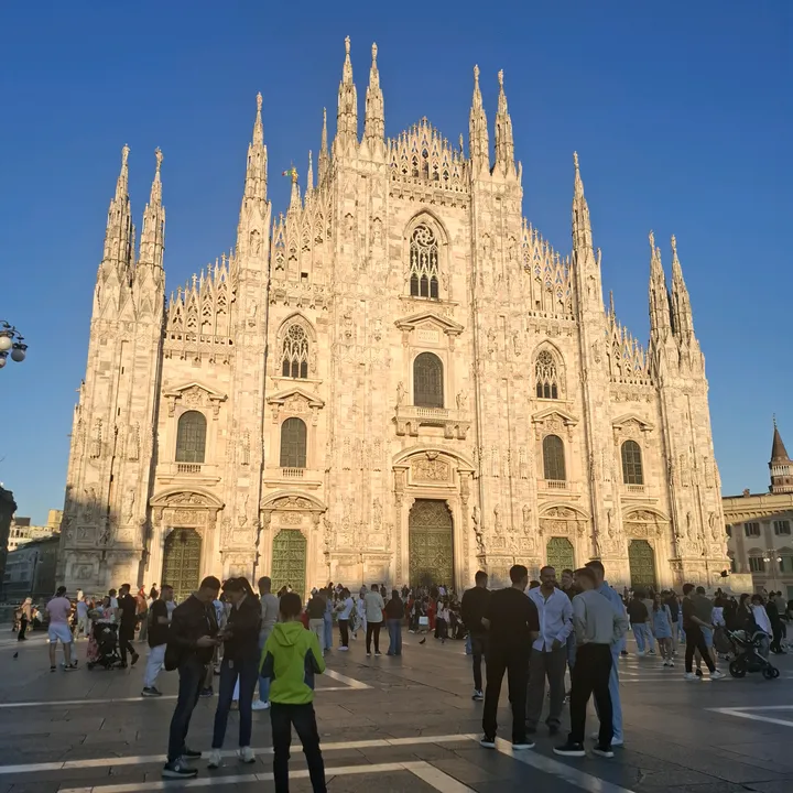 @francesca.nigro0