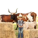 @morinranch