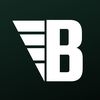 babincoaching