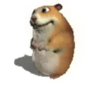 @bobsingalong0822