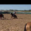 @ian.aldrich8