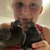 jennis_catly_booktok