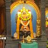 p_bava