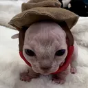 @famoussphynx