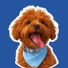 leothecavapookie