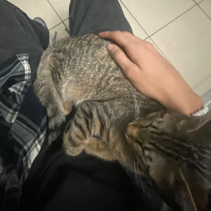 hes4thapeople