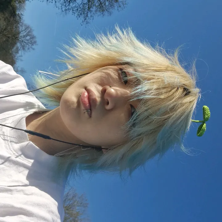 @jayswalkings