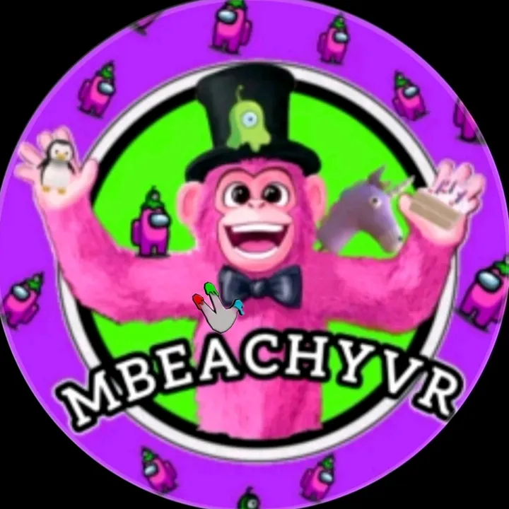 mbeachyvr
