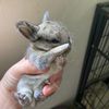 so_many_creatures