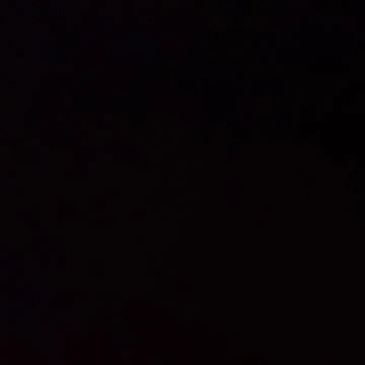 h_seals8