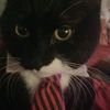 mrpickles982