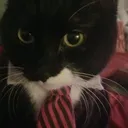 @mrpickles982