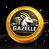 gazelle2567