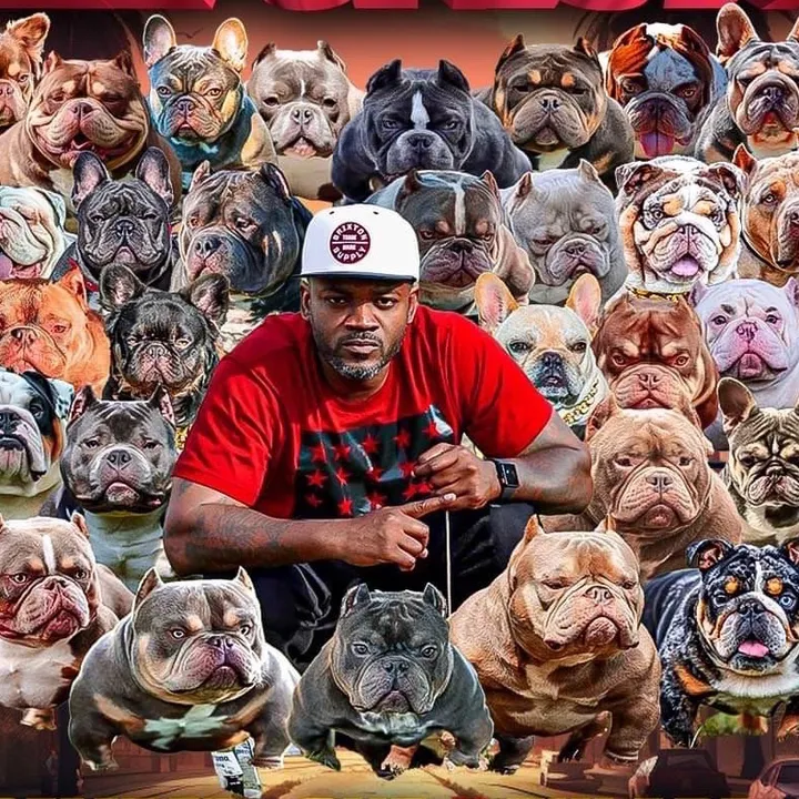 topshelfexoticbullys