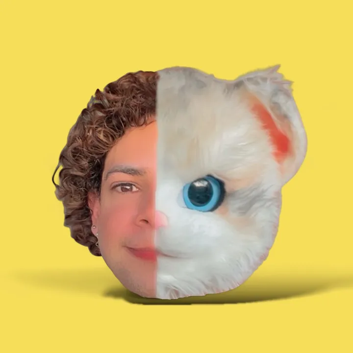 thecat2025