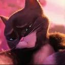 @kittysoftpawsfan