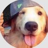 editsformyhos