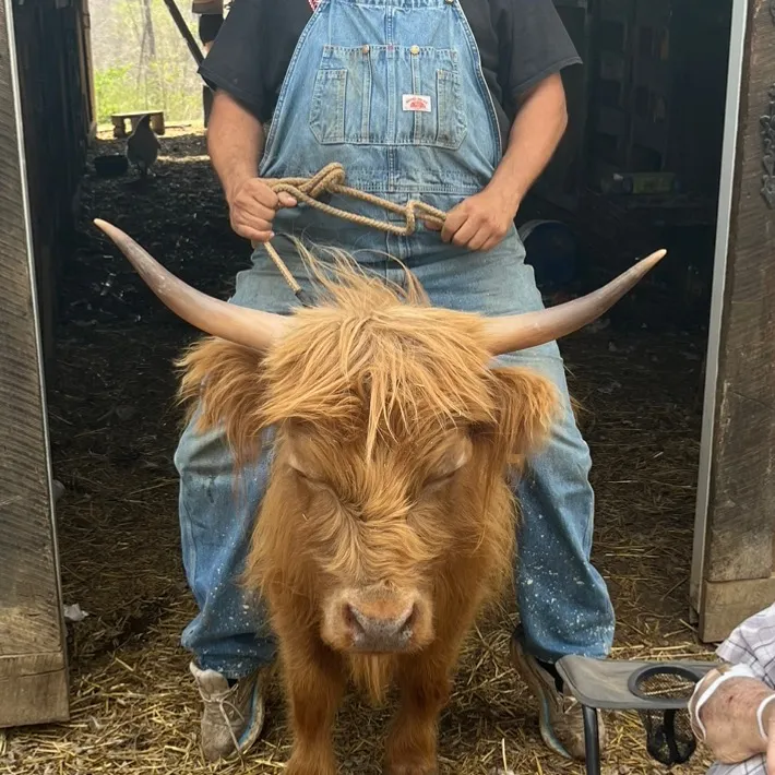 tennesseetedminifarm