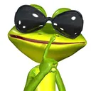 @siesta.key.frog.h