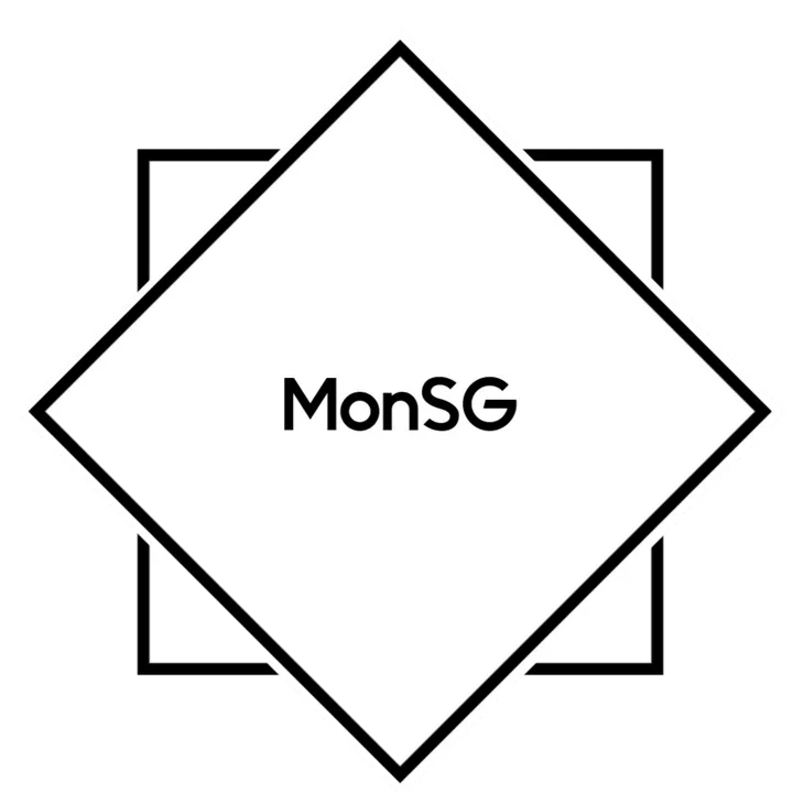 @monsg999