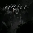 @vvhalestories