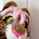 @whosthatbigcat