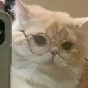 @sillykopsgummy