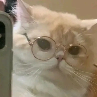 @sillykopsgummy