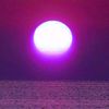 venus_love111
