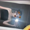 @motylek_113