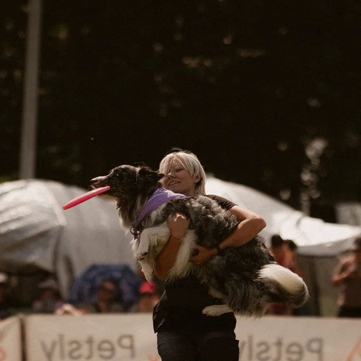 frisbee.dogs.team