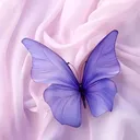 @intrestellar.ella
