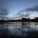 @ryanigou69
