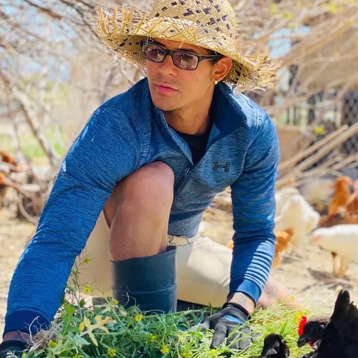 little_emus_farm