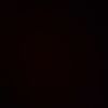 lari_6767