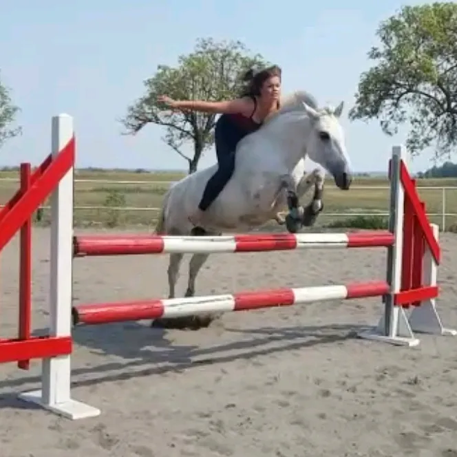show.jumper_speedy