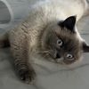 sandra_life7