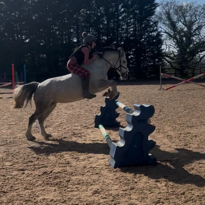 @poppy.riding0