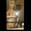 @fifasatthew