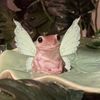elodiethefairy