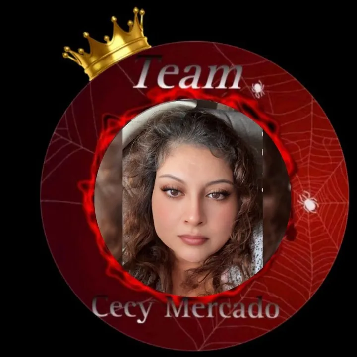 veroteam