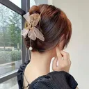 @leehaolife