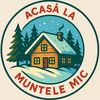 acasalamuntelemic