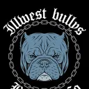 @illwestbullys