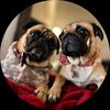 bejaminandmia