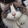 kikohouse25